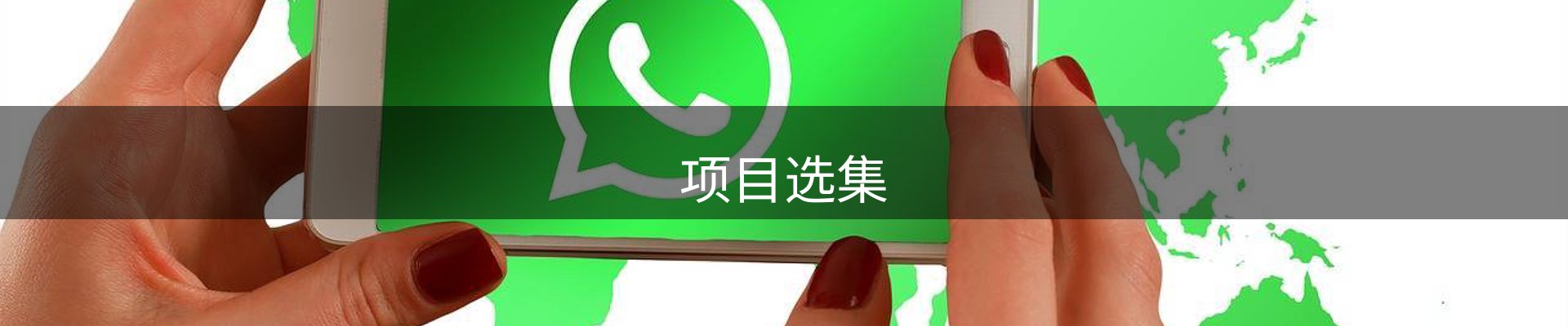 项目选集